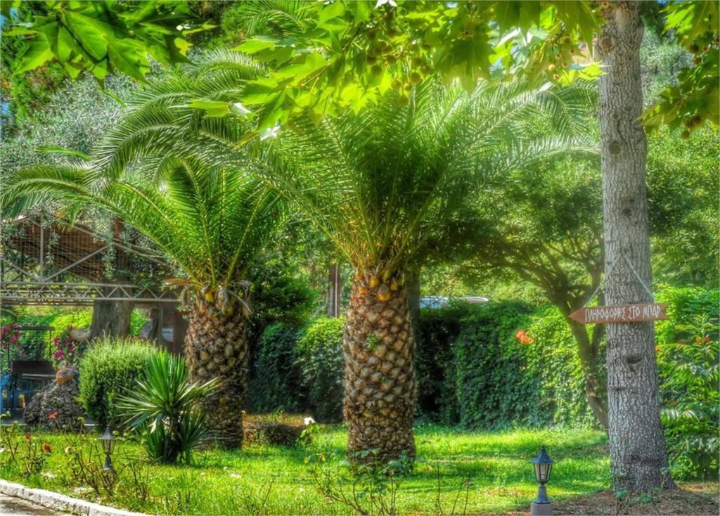 Aparthotel Aneton Chrysi Ammoudia Exterior foto